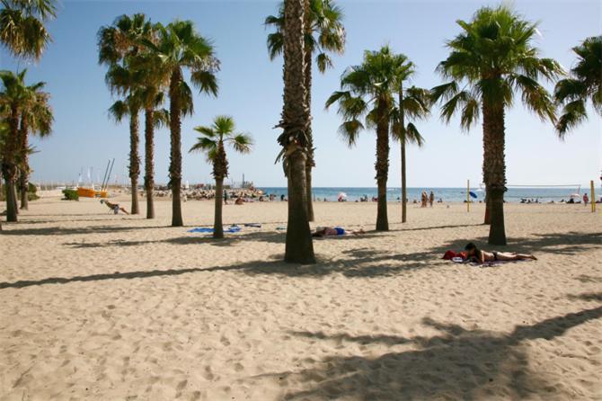 Sun And Beach Lovers 12019 La Pineda Exterior foto